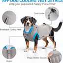 2 x ALL FOR PAWS Cooling Vest Dog Cooling Shirts Breathable Instant Cooling Dogs Vest Lightweight for Summer Dog Clothes (S)