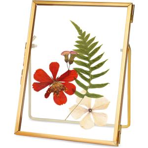 Glass Pressed Flower Frame Handmade, Floating Picture Frames for Pressed Flowers, Tabletop Artwork Photo Frames, Brass Desk Picture Frame for Home Office Plant Specimen, Gold, 4x6 Inches (4L" x 6W")