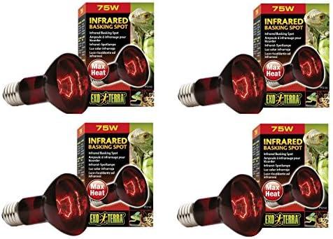 Exo Terra Heat-Glo Infrared Spot Lamp, 75-Watt/120-Volt (3 Pack)