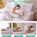 Three Geese White Goose Feather Down Pillows Queen Size Set of 2-100% Cotton, Medium Firm,Soft Support