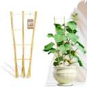 Avalution 10 Pack Bamboo Trellis for Climbing Plants, 3 FT Garden Ladder Trellis for Potted Plants Indoor, Fan-Shaped Small Plant Support Trellis for Houseplants Ivy Hoya Vine Monstera