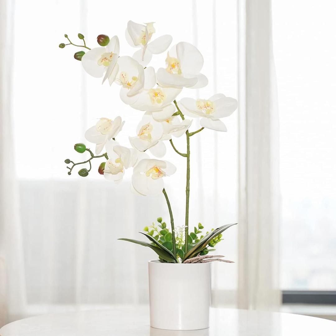 Ohmywor Artificial Orchid Flower Potted, 16.9" White Orchid in Pot Faux Plant with 2 Stems Artificial Phalaenopsis in Plastic Pot for Home Table Centerpiece Wedding Decoration Ohmywor Artificial Orchid Flower Potted, 16.9" White Orchid in Pot Faux Plant with 2 Stems Artificial Phalaenopsis in Plastic Pot for Home Table Centerpiece Wedding Decoration
