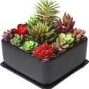 MyGift Modern Black Ceramic Square Indoor Small Planter, Flower Succulent Plant Pot with Drainage Hole and Removable Drip Tray