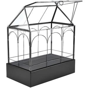 HighFree Large Glass Terrarium with Metal Tray, Glass Greenhouse Terrarium, Succulent Terrarium Kit for Succulents, Cacti, Snails, Spiders, and Miniature Reptiles, Black (Velvet Bottom)