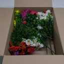 Artificial Fake Flowers Plants for Outdoor Outside Spring Summer Decoration, 12 Bundles Silk Colorful Morning Glory UV Sun Resistant Realistic Faux Flower for Planter Porch Patio Yard Balcony (Six Mixed(2 Purple, 2 Red, 2 Fuchsia, 2 Hot Pink, 2 White, 2 Yellow))