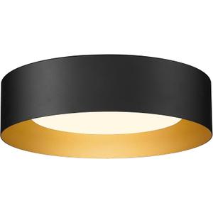 AUTELO Flush Mount Ceiling Light, 14" Frosted Glass Shade Close to Ceiling Light Fixture in Black Finish E26 Socket for Living Room Hallway Bedroom C3336XS BK