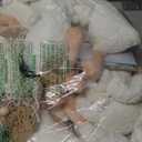 One Silly Goose Birthday Decoration 10 Sets 12 Inch Soft Goose Stuffed Animal Hat Adoption Cards with Wood Table Decor Adopt Birthday Gifts(Green)