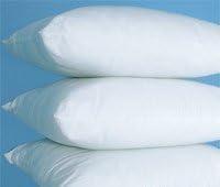 Carpenter White Pillows Mictofiber Twin Pack of 2