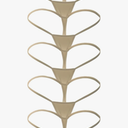 ETAOLINE Women's Low Rise Micro Back G-string Tiny Thong Panty XL