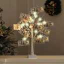 Money Tree Gift Card Holder 24 LED Birch Tree Lamp Battery/USB Powered Light Up White Trees Gift Card Holder with 22 Clear Clips for Money Photo Birthday Graduation