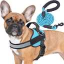Haapaw Essential Dog Harness, No Pull Pet Vest with 3 Leash Clips, No Choke, Reflective, Adjustable and Padded, for Easy Walking and Training for Small Dogs(S, Blue)