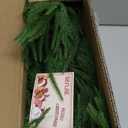 9FT Christmas Garlands Norfolk Pine Garland Real Touch Artificial Faux Greenery Garland for Holiday Indoor Outdoor Decor (9 ft (1 Pack- Young ))