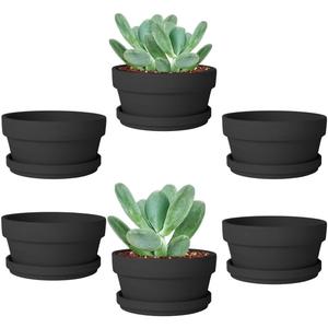 vensovo 3.7 Inch Black Terracotta Shallow Succulent Pots - 6 Pack Terra Cotta Clay Pot with Saucer, Cacuts Indoor and Outdoor Planters with Drainage Hole