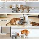 2 Pack Automatic Cat Feeder Stainless Steel Water Dispenser Gravity Food Feeder and Waterer Set with Pet Food Bowl for Small Medium Kitten Puppy Pets Large Capacity(Grey)