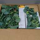 VEVOR 12 Set/36 Pcs Wooden Wedding Lantern Centerpiece, Includes 12 Wooden Lantern Candle Holder 12 Flameless LED Candle 12 Eucalyptus Leaves Wreath for Wedding Table Party Farmhouse Decor, White