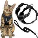 Voyager Escape Proof Cat Harness and Leash Set with Reflective Stitching, Neoprene Handle 5ft - Supports Small, Medium and Large Cats, Kittens for Walking by Best Pet Supplies - Black, S