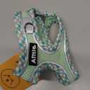 AIITLE Tiny Dog Harness - Lightweight Mesh Step-in Vest for Puppy, Reflective & Escape-Proof Design with High-Stick Magic Tape - Indoor/Outdoor Use for Chihuahua, Maltese, Shih Tzu(Sage, XXXS) (XXXS(Chest: 8.5 - 10"))