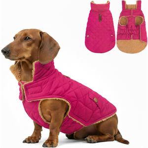 azuza Dog Jacket Waterproof & Windproof Dog Coat for Dogs with Thick Fleece, High Collar with Leash Hole, Adjustable Velcro & Elastic Belly, Rose Red, Size: L