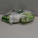 DenicMic St Patricks Day Decorations Solar Lights Outdoor 10 Pack Waterproof Green LED Stainless Steel Stake Outside Lights for Yard Pathway Garden Driveway Walkway Landscape Path Lighting