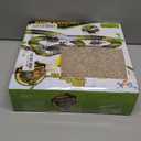 Dinosaur Toys,Create A Dinosaur World Road Race,Flexible Track Playset and 2 pcs Cool Dinosaur car for 3 4 5 6 Year & Up Old boy Girls Best Gift (Green)