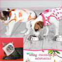 Nuanchu 2 Pieces Cat Recovery Suit Kitten Recovery Suit E-Collar Alternative for Cats and Dogs Abdominal Skin Anti Licking Pajama Clothes Sets(Small,Fruit Style,Colorful)