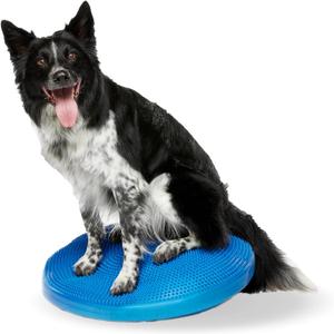 FitPAWS Dog Balance Disc 22, Blue | Dog Exercise Equipment | Workout Tool for Strength, Core, Stability & Rehabilitation