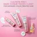L'Oreal Paris Sulfate Free Bond Repair Pre Shampoo Treatment, Hair Repair for Colored, Bleached, EverPure, 5.1 Fl Oz 