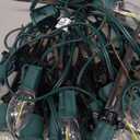 Novelty Lights 25 Ft Vintage LED C9 Warm White Transparent Christmas String Lights – 25 Shatterproof Plastic Bulbs, 12" Spacing Green Wire, Classic Filament Glow, Indoor Outdoor Holiday Lighting