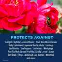 BioAdvanced 701100A 2 In 1 Rose Fertilizer and Flower Care Systemic Granules II Insect Killer, 5-Pound, Systemic Insecticide