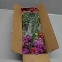 Artificial Flowers Fake Plants for Outdoors Spring Decoration, 13Bundles Silk Realistic UV Resistant Faux Flowers for Outside Planter Porch Yard Patio Garden Home Indoor, Mix