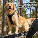 Funfox No Pull Dog Harness, Adjustable Pet Vest with Control Handle & Front Clip, Reflective Design for Small Medium Large XL Dogs, Black M