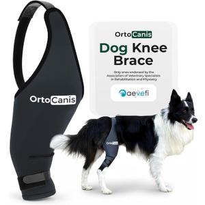 Ortocanis Dog Knee Brace for Hind Leg Support  Flexible Neoprene Knee Brace for Dogs with Joint Instability, Torn ACL, Limping or Osteoarthritis  Comfortable Support for Recovery (Large, Right Leg) (Size Large (12,3 - 14,2 "))