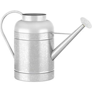 2.3 Gallon Metal Watering Can, Galvanized Watering Can for Outdoor Indoor Plants, Large Water Can for Plants and Garden Flower
