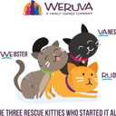 Weruva Slide N' Serve Pat Wet Cat Food, The Showcase Chowdown Variety Pack, 2.8oz Pouch, Pack of 16 (EXP 07/27/27)