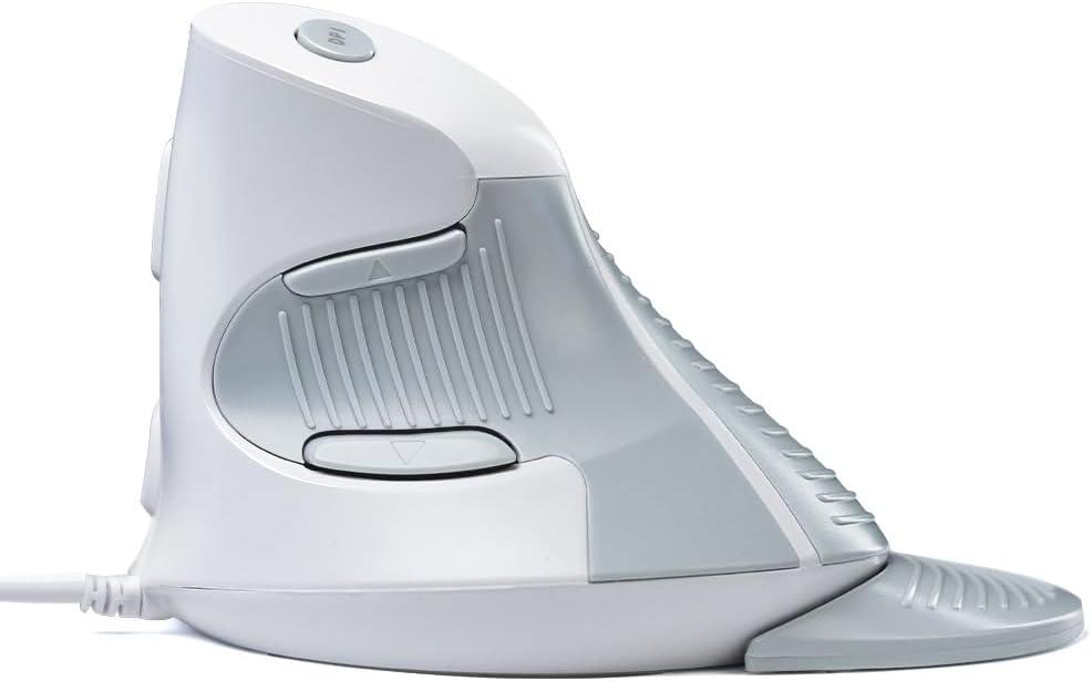 DeLUX Wired Vertical Ergonomic Mouse, with 6 Programmable Buttons, 4200DPI, Removable Palm Rest, Reduces Wrist Pain and Carpal Tunnel for Medium Hands (M618XU-White)