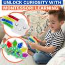 2 x 2-Pack Color Sorting Sensory Toys Perfect for Fine Motor Skills Toys for 3 4 5 Years Old Toddler Montessori Travel Toys Sensory Toy for Toddler Preschool Gift for Calm Down Color