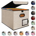 BALEINE File Organizer Box with Lid, Collapsible File Folder Organizer with Plastic Slide, Hanging File Folder Box for Office Document Storage (1 Pack, Beige)