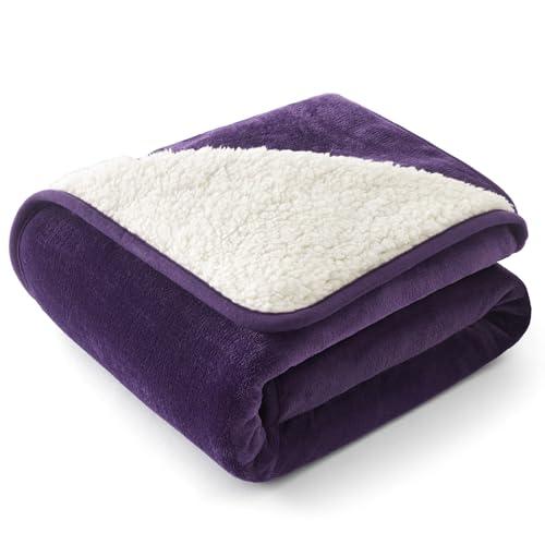 Bedsure Waterproof Dog Blankets for Small Dogs - Small Cat Blanket Washable for Couch Protection, Sherpa Fleece Puppy Blanket, Soft Plush Reversible Throw Furniture Protector, 25"X35", Eggplant