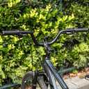 31.8 Bike Handlebar - 25mm, 55mm, 70mm, 90mm,120mm Riser Handlebar - 780mm Aluminium Alloy Mountain Bike Bicycle Handlebars (120mm Rise)
