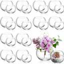 Zopeal 24 Pcs Fish Bowl Vase Glass Bubble Bowl Globe Glass Clear Bubble Vase Round Terrarium Goldfish Flower Centerpiece for Wedding Event Arrangement Office Home (2.36"h X 2.76"w and 3.15"h X 3.94"w)