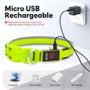 Flashseen LED Dog Collar, Light Up Dog Collar USB Rechargeable, Brightest Dog Lights for Night Walking, Adjustable Dog Collar Light for Dog Safety (Green, Medium)