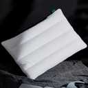 Three Geese Luxury Flat Thin Goose Feather Down Pillows Standard Size, 2.5" Height, 100% Cotton Cover, Medium Firm Hotel Collection Ultra Slim Thin Bed Pillows, Machine Washable, 18 x 26 Inches (Solid White)