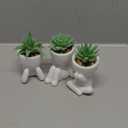 Der Rose 3pcs Fake Succulents Plants Artificial for Bathroom Bedroom Home Room Decor Aesthetic Indoor (White)