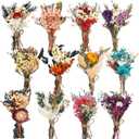 Layhit 12 Pcs Boho Dried Flower Bouquet Mini Wedding Handmade Dry Flowers Decor for Vase Crafts DIY Photo Boutonniere for Men Floral Plant for Bridesmaid Gift Birthday Decor(Colorful)