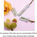 HAHIYO 60PCs 1.6X0.7Inch Transparent Plastic Floral Tubes Floral Water Tubes Flower Vials with Silicone Caps for Plants Fresh Flowers Arrangement Decoration Milkweed Cutting Florist Supplies