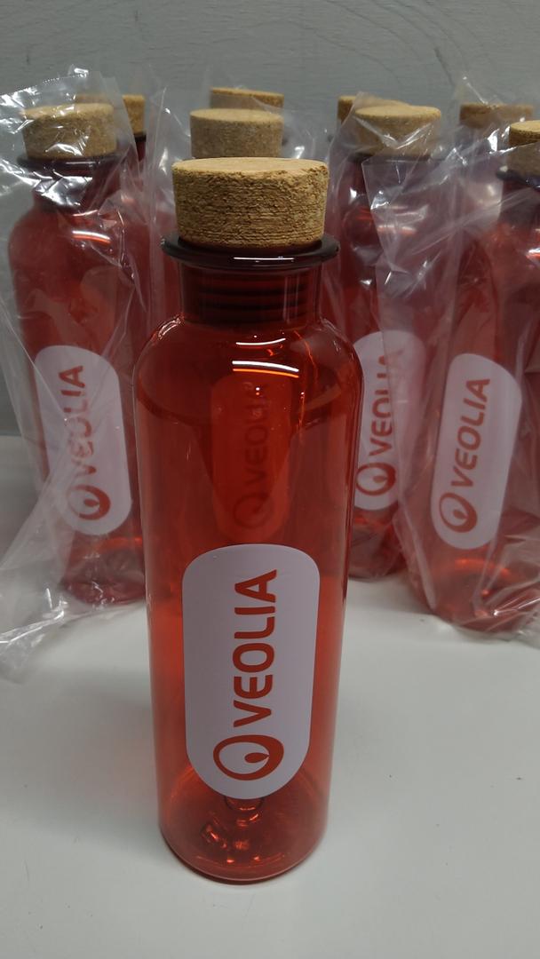 Plastic Bottle 22 Oz Pack of 12