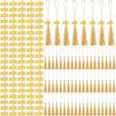 Cindeer 100 Pcs Mini Graduation Tassels with 100 Pcs 2025 Tassel Charms for Crafts Mini Silky Bookmark for Graduation Cap Keychain Ornaments DIY Craft Jewelry Making Project(Gold)