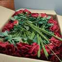 Riceshoot 500 Pcs Artificial Silk Roses Flowers with Long Stem Bridal Wedding Bouquet Realistic Floral Bulks for Garden Home Party Gifts Favor Decoration(Wine Red)
