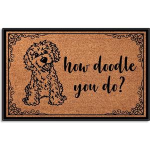 How Doodle You Do Low Profile Door Mat for Front Door Inside Door Mats for Home Entrance, Inside Front Doormat 28"X17"