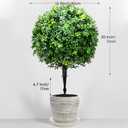 26-Inch Artificial Topiary Boxwood Ball Trees (Set of Two) Lifelike, UV-Resistant Decor for Indoor & Outdoor Use Enhance Your Space with Vibrant Greenery